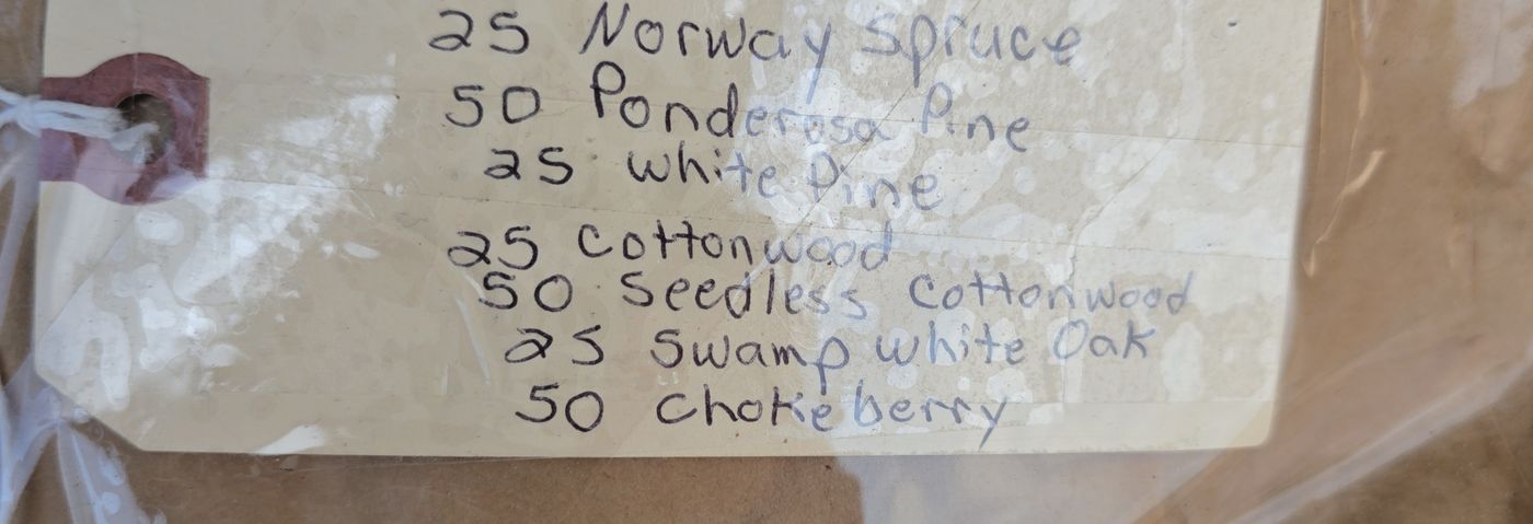 Handwritten tag listing seven tree species and quantities: 25 Norway Spruce, 50 Ponderosa Pine, 25 White Pine, 25 Cottonwood, 50 Seedless Cottonwood, 25 Swamp White Oak, 50 Chokeberry.