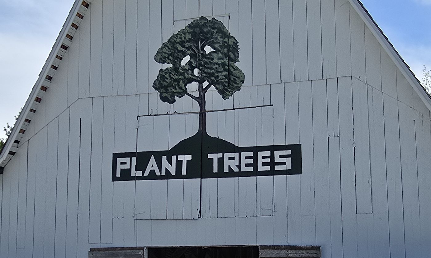 White barn with a painted tree and the words PLANT TREES above the open doorway.